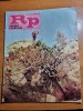 Romania pitoreasca noiembrie 1980-art. si foto izbuc,poanoarele bihor,ceahlau