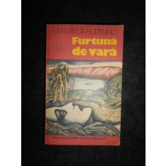 Juan Garcia Hortelano - Furtuna de vara