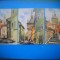 HOPCT LOT 3692 - 3 CARTI POSTALE-SIGHISOARA- JUD MURES-NECIRCULATE