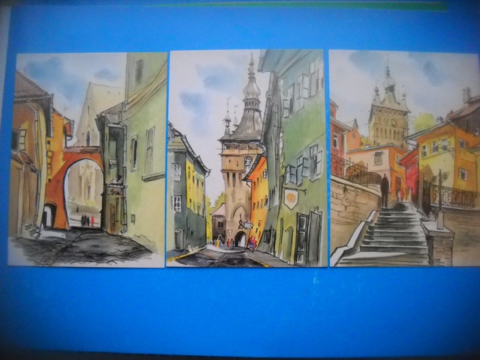 HOPCT LOT 3692 - 3 CARTI POSTALE-SIGHISOARA- JUD MURES-NECIRCULATE