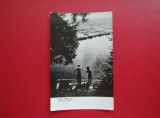 CARTE POSTALA - RPR - VALEA SEBESULUI - LA BRADUL STRAMB