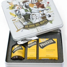 Set Ingrijire pentru Barba Proraso Wood and Spice