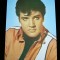 QW28 - Artisti straini 21 - Elvis Presley - O fata fericita