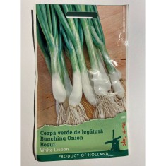 Seminte Ceapa Verde White Lisbon 3 g.