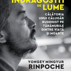 Yongey Mingyur Rinpoche - Indragostit De Lume