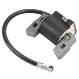 Aprindere Briggs&amp;Stratton 5 CP ZF-IG-A00385, Taiwan