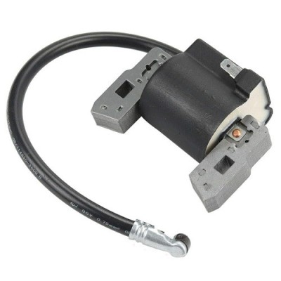 Aprindere Briggs&amp;amp;Stratton 5 CP ZF-IG-A00385 foto