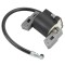Aprindere Briggs&amp;Stratton 5 CP ZF-IG-A00385