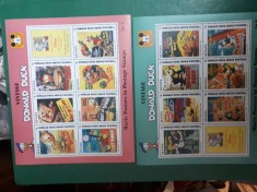 2 blocuri desene animate din guyana donald