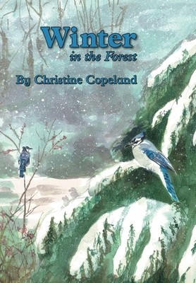 Winter in the Forest: A Seasons in the Forest Book foto