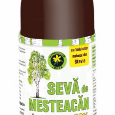 Sirop seva mesteacan fara zahar 90% 500ml