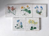 Set 5 placi ceramice (faianta) pictate manual cu plante si semnate H.V., motiv botanic, 7.5x7.5cm, suport pahare (coaster)