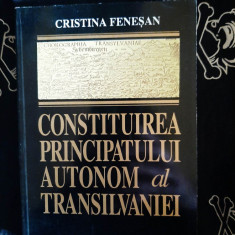 Cristina Fenesan - Constituirea principatului autonom al Transilvaniei