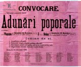 100S Afiș de convocare a &ldquo;doauă Adunări Poporale&rdquo; la Vașcău și Beiuș ale Partidului Național Rom&acirc;n, 1905