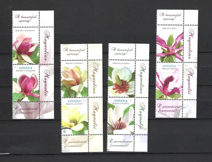 ROMANIA 2025 - MAGNOLII, VINIETA 2, MNH - LP 2505