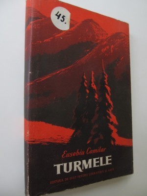 Turmele - Eusebiu Camilar foto