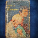 Cumpara ieftin OSPATUL LUI REZ MIHALY - NAGY STEFAN