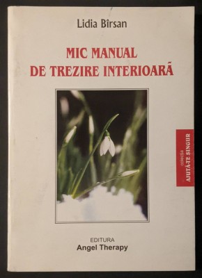 MIC MANUAL de TREZIRE INTERIOARA Lidia Birsan 235 pag Dedicatie ampla + Autograf foto