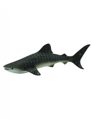 Balena rechin - Collecta foto