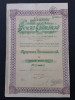 Actiune nominativa din 1919 soc. Govora Calimanesti , titlu , actiuni