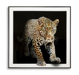 Mauro Ferretti Pictura pe P&acirc;nză Jaguar cu Cadru -A- cm 82x4x81 | Aosom Romania