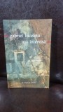 USA INTERZISA - GABRIEL LIICEANU