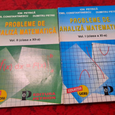 PROBLEME DE ANALIZA MATEMATICA Vol.I si II*Ion Petrica*Emil Constantinescu