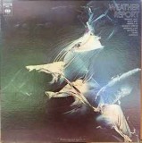 Vinil LP Weather Report &lrm;&ndash; Weather Report (VG+), Jazz