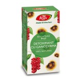 Detoxifiant cu ganoderma, 63 capsule, Fares