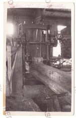 1142 - BACAU, Forest Industry, sawmill - old postcard, real PHOTO - unused foto