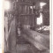 1142 - BACAU, Forest Industry, sawmill - old postcard, real PHOTO - unused