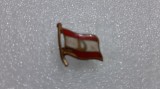 insigna Dinamo