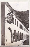 bnk cp Brasov - Restaurantul si crama Cerbul carpatin - circulata