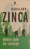 Dintre sute de catarge - Haralamb Zinca, 2022, Publisol, Roman, Beletristica, 331 pagini