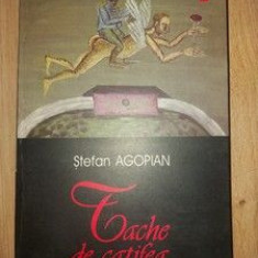 Tache de catifea- Stefan Agopian