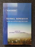 GLODUL SOMESULUI. Vatra de convietuire milenara - Teodor Buhatel