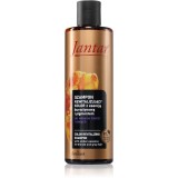 Farmona Jantar Amber Essence sampon revitalizant pentru părul blond şi gri 300 ml