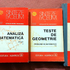 Teste analiza matematica; geometrie/Sinteze matematica - Catalin Petru Nicolescu