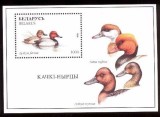 BELARUS 1996 FAUNA PASARI RATE, Nestampilat