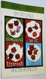 Carte de colorat veche Sporturile anotimpurilor - Doina Tandau- 1981