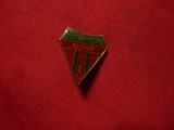 Insigna veche Fotbal - Gloria Buzau ,L= 1,7cm , metal si email