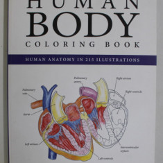 HUMAN BODY , COLORING BOOK , HUMAN ANATOMY IN 215 ILLUSTRATIONS , 2015