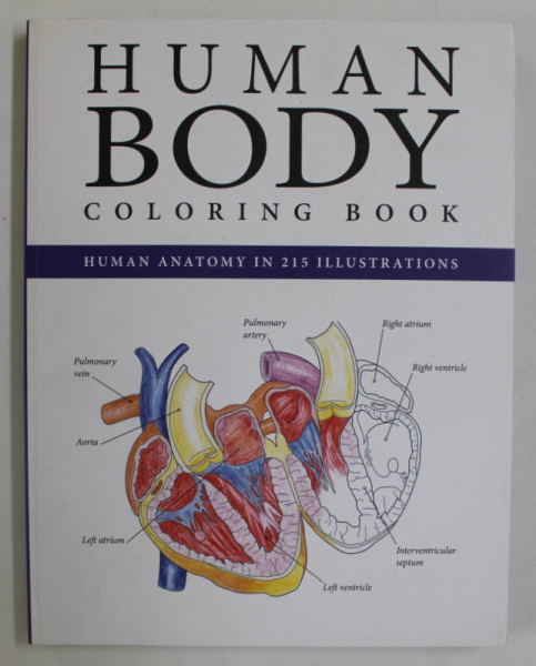 HUMAN BODY , COLORING BOOK , HUMAN ANATOMY IN 215 ILLUSTRATIONS , 2015