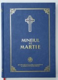 MINEIUL PE MARTIE , 2007