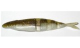 Shad Lake Fork LFT Live Magic Shad 8.7cm Tilapia 6buc/plic