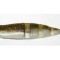 Shad Lake Fork LFT Live Magic Shad 8.7cm Tilapia 6buc/plic