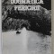 DOGMATICA FERICIRII de CHRIS SIMION , 1995