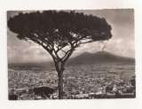 FA59-Carte Postala- ITALIA - Napoli, circulata 1959, Fotografie