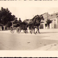 HST P1389 Poză militari români în trăsură județul Cluj anii 1930