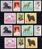 Ungaria 1967, Mi #2337-2343 A+B**, dant + ned, fauna, caine, rase de caini, MNH. Cota 125,50 &euro;!